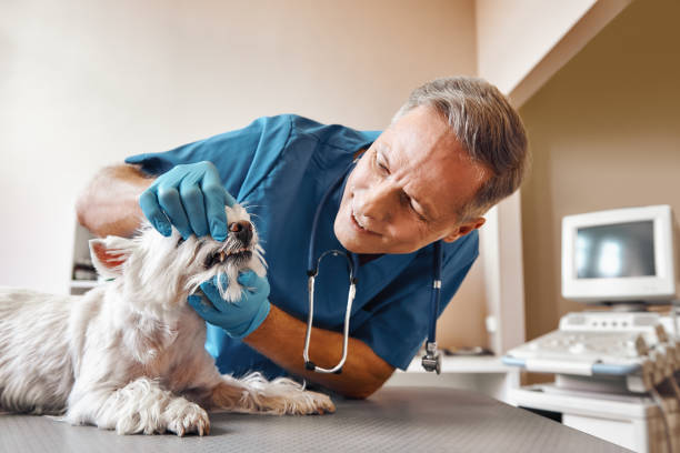 Best Emergency Tooth Extraction in Three Rivers, TX