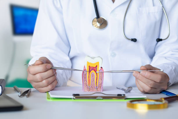 Best Emergency Wisdom Teeth Removal in Three Rivers, TX